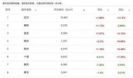 新疆贵姐爆料最新消息,揭秘神秘事件背后真相